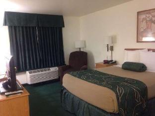 Milford 米尔福德温德姆旅游旅馆酒店 客房 照片